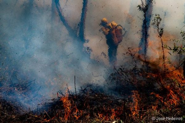 Brigadista combate o fogo no Pantanal